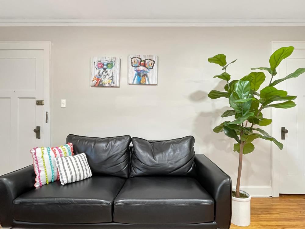 Fun & Charming 1BR Apt near Drake